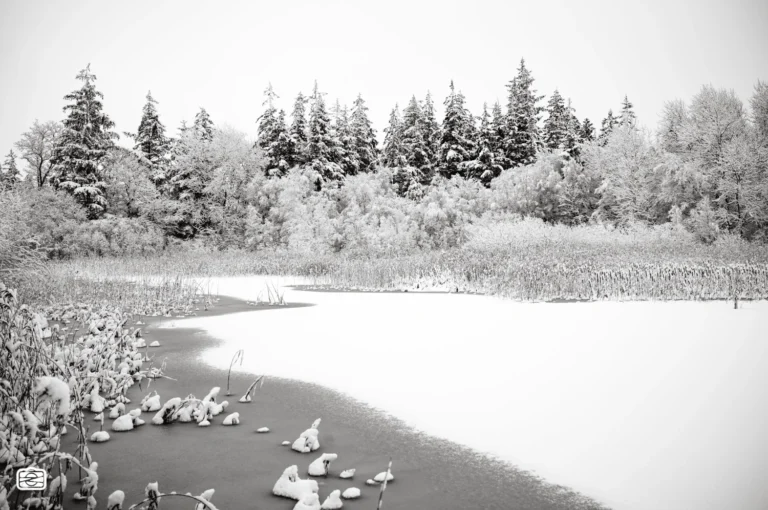 Schneelandschaft in der Bordelumer Heide