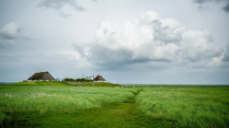 Hochzeit auf der Hamburger Hallig: Ein unvergessliches Erlebnis